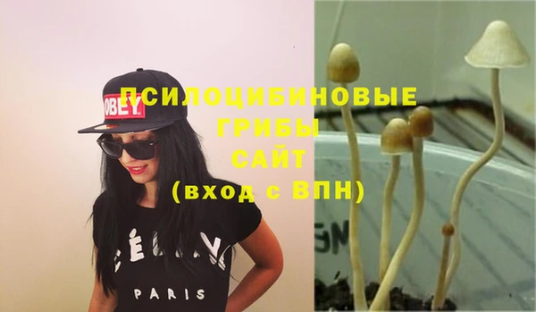 прущие грибы Верхнеуральск