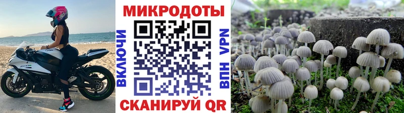 Галлюциногенные грибы GOLDEN TEACHER  Сосногорск 